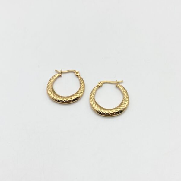 Dainty Hoops